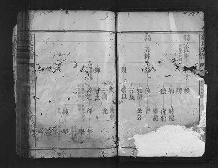 福建蒋氏族谱-蒋氏宗谱.pdf电子版预览图3