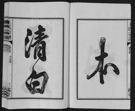 安徽王氏族谱-王氏宗谱[6卷,首1卷].pdf电子版预览图3