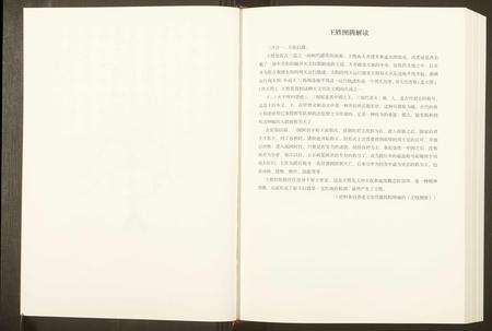 安徽王氏族谱-颖淮王氏族谱.pdf电子版预览图3