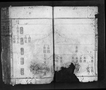 福建蒋氏族谱-蒋氏宗谱.pdf电子版预览图3