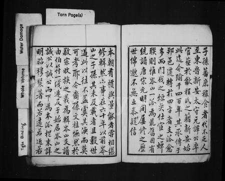 安徽程氏族谱-新安岑山渡程氏支谱 _ [6卷].pdf电子版预览图3