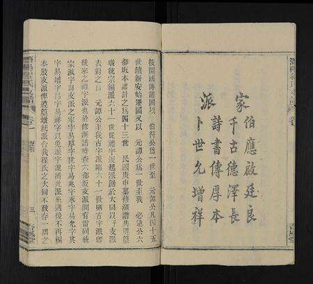 安徽程氏族谱-程氏族谱 [16卷,首2卷,末1卷].pdf电子版预览图3