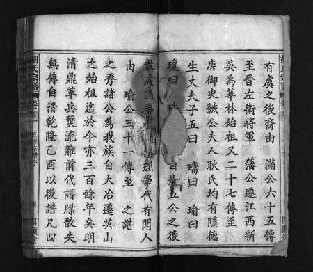 安徽胡氏族谱-胡氏宗谱 [16卷,首2卷].pdf电子版预览图3