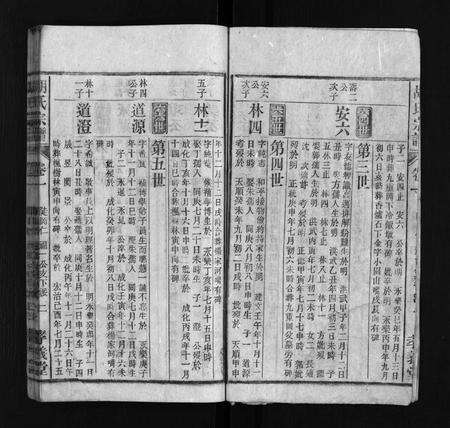 安徽胡氏族谱-胡氏宗谱 [按支分卷].pdf电子版预览图3