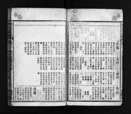 安徽刘氏族谱-刘氏宗谱 [37卷,文献及文契各1卷].pdf电子版预览图3