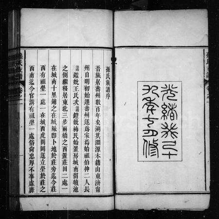 安徽孙氏族谱-孙氏支谱 [6卷].pdf电子版预览图3