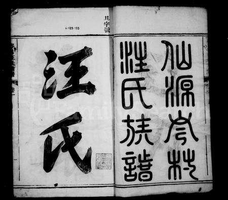 安徽汪氏族谱-仟源岑村汪氏族谱 [10卷].pdf电子版预览图3
