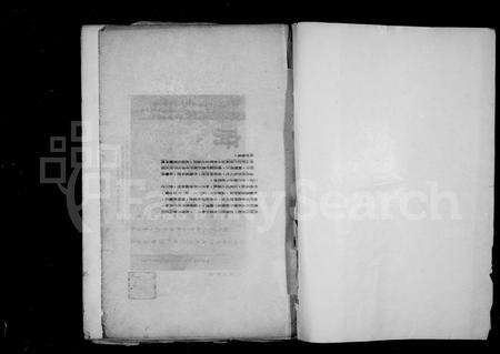 安徽未知族谱-岐阳(李氏)世家文物图像册.pdf电子版预览图3