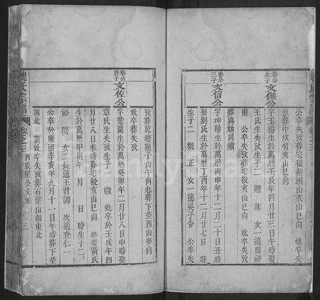 安徽魏氏族谱-魏氏宗谱 [残卷].pdf电子版预览图3