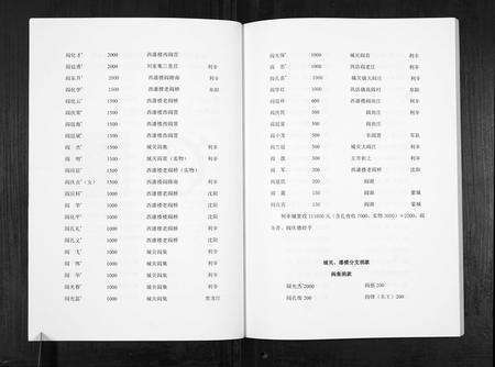 安徽阎氏族谱-阎氏家谱.pdf电子版预览图3