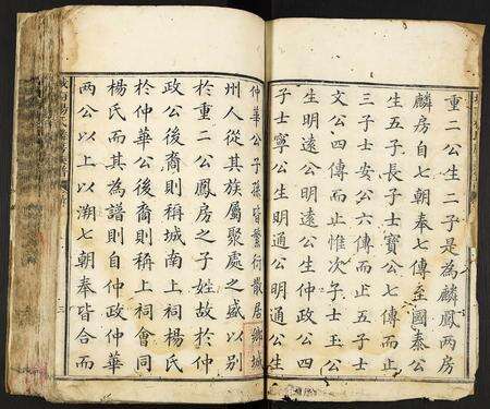 江西杨氏族谱-城南杨氏麟房族谱.pdf电子版预览图3