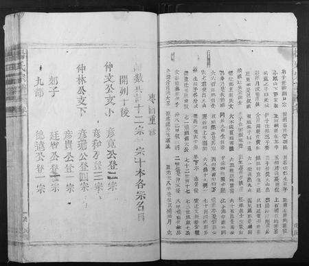 江西杨氏族谱-杨氏宗谱.pdf电子版预览图3