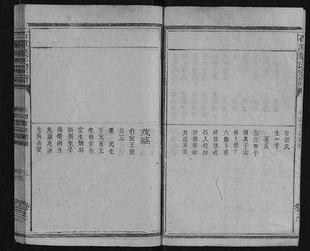 安徽叶氏族谱-石潭叶氏宗谱 [9卷].pdf电子版预览图3