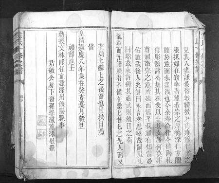 江西袁氏族谱-袁氏十修族谱[不分卷].pdf电子版预览图3