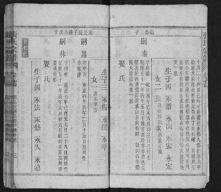 安徽张氏族谱-张氏宗谱.pdf电子版预览图3