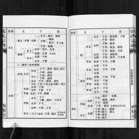 安徽张氏族谱-张氏宗谱.pdf电子版预览图3