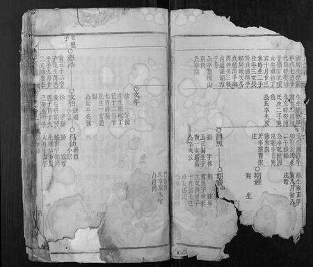 安徽张氏族谱-张氏宗谱.pdf电子版预览图3