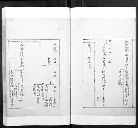 安徽张氏族谱-张氏宗谱[不分卷].pdf电子版预览图3