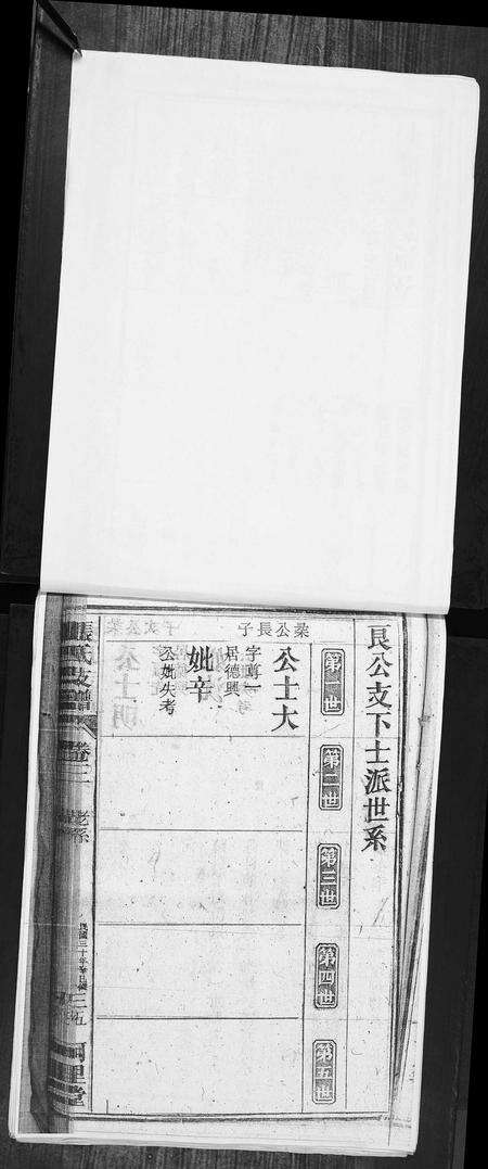 安徽张氏族谱-张氏支谱.pdf电子版预览图3