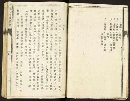 江西张氏族谱-瑞金张氏族谱.pdf电子版预览图3