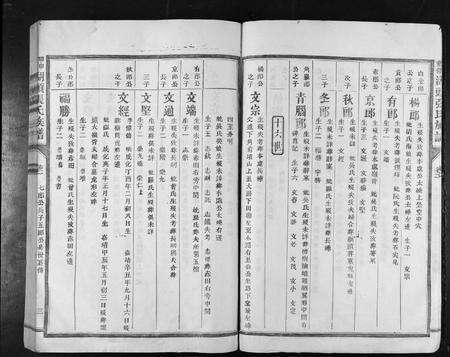 江西张氏族谱-甲申重修湖头张氏族谱[15卷].pdf电子版预览图3