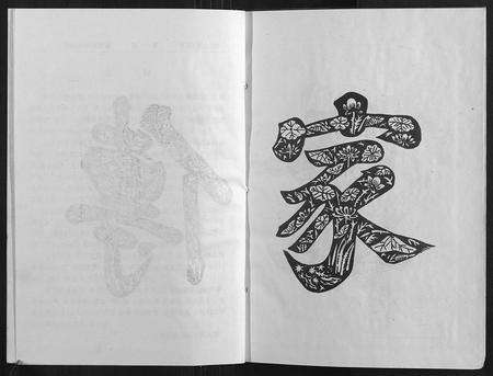 江西邹氏族谱-宜春萍乡邹氏支谱.pdf电子版预览图3