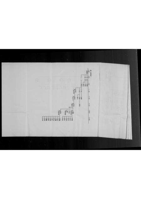 福建李氏族谱-泉州府双溪来台李氏家谱.pdf电子版预览图3