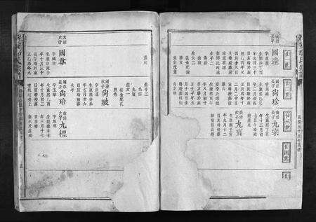 江西鄢氏族谱-绥安鄢氏宗谱 [不分卷].pdf电子版预览图3