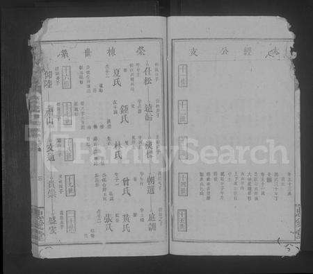 江西叶氏族谱-叶氏宗谱 [不分卷].pdf电子版预览图3