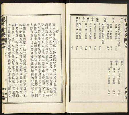 安徽杨氏族谱-杨氏宗谱.pdf电子版预览图3