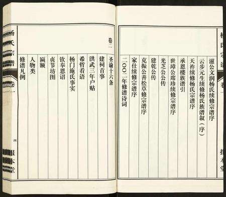 安徽杨氏族谱-杨氏宗谱.pdf电子版预览图3