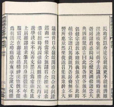 安徽杨氏族谱-潜阳杨氏宗谱.pdf电子版预览图3