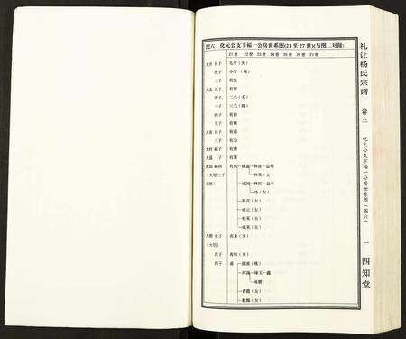 安徽杨氏族谱-礼让杨氏宗谱.pdf电子版预览图3