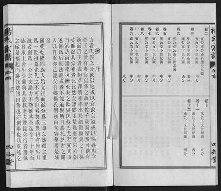 安徽杨氏族谱-杨氏宗谱.pdf电子版预览图3