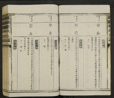 江西杨氏族谱-桥头杨氏族谱 [不分卷].pdf电子版预览图3