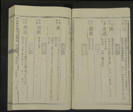 江西杨氏族谱-兴国福岭杨氏十修族谱[11本].pdf电子版预览图3