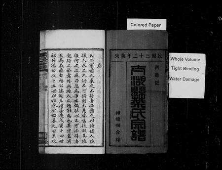 安徽叶氏族谱-叶氏宗谱 [12卷,首末各1卷].pdf电子版预览图3