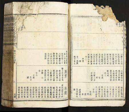 江西叶氏族谱-叶氏明公五修族谱.pdf电子版预览图3