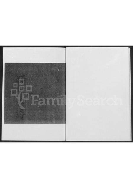 福建陈氏族谱-福建省漳浦县马坪镇后康村山尾社山美堂陈氏家谱 [不分卷].pdf电子版预览图3