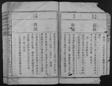 江西游氏族谱-功溪游氏族谱.pdf电子版预览图3