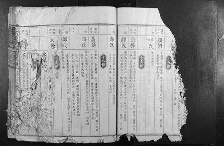 江西袁氏族谱-定南潭庆袁氏四修族谱.pdf电子版预览图3