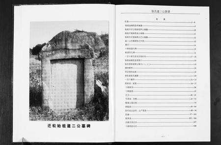 安徽张氏族谱-张氏道二公族谱.pdf电子版预览图3