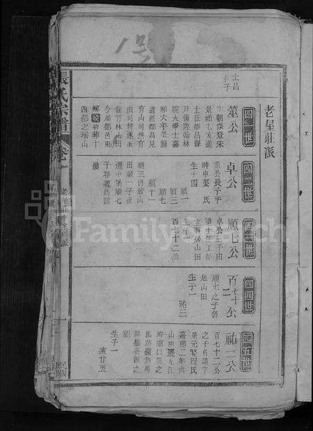 江西张氏族谱-张氏宗谱 [残卷].pdf电子版预览图3