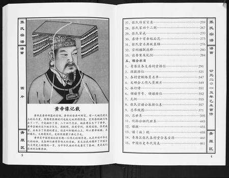 江西张氏族谱-张氏宗谱[12卷首1卷].pdf电子版预览图3