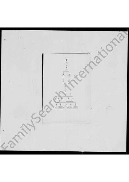 福建林氏族谱-林氏世系表.pdf电子版预览图3