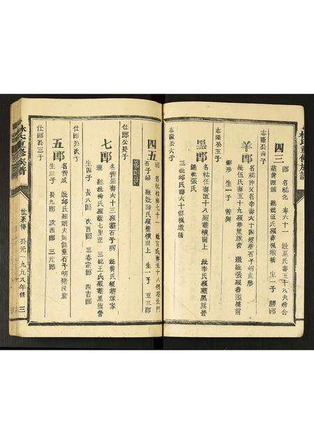 福建林氏族谱-林氏重修族谱.pdf电子版预览图3