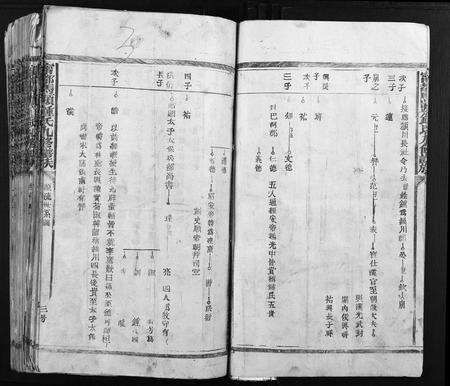 江西钟氏族谱-宁都马头钟氏九修族谱.pdf电子版预览图3