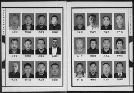 福建林氏族谱-沟西林氏宗谱大坪林氏支谱[全册].pdf电子版预览图3