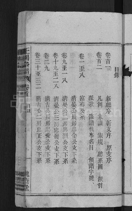 安徽王杨氏族谱-王杨宗谱 [43卷,首末各2卷].pdf电子版预览图3