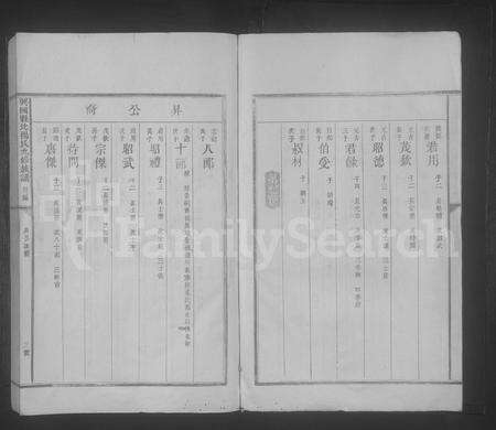 江西杨氏族谱-兴国县北杨氏九修族谱 [不分卷].pdf电子版预览图3